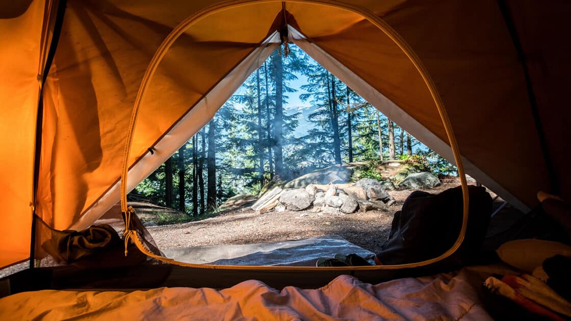 Blick aus einem Zelt in den Wald.