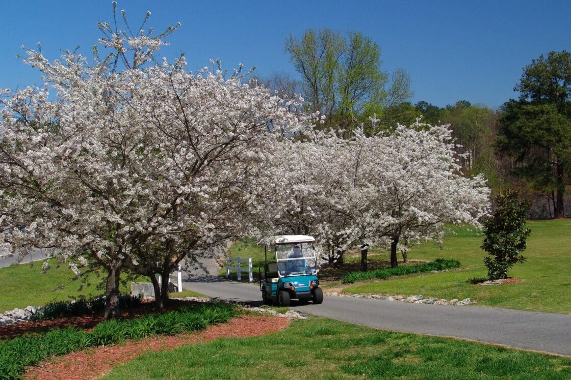 Der blühende Pfirsichbaum gab der in den 1950er Jahren gegründeten Kommune den Namen, das Golfkart-Wegenetz machte Peachtree City berühmt Bildquelle: PTCdude via wikicommons, license https://creativecommons.org/licenses/by-sa/4.0/deed.en]